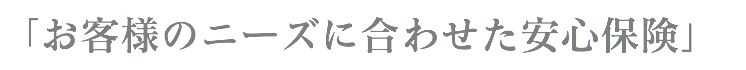 「お客様のニーズに合わせた安心保険」